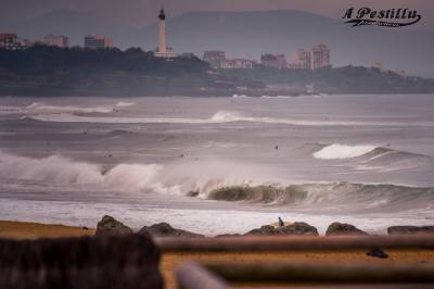 Imagen: A Pestillu Productions | Surf AHIERRO!