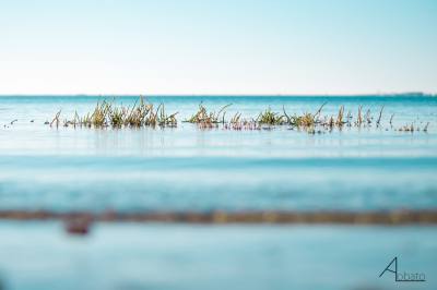 Imagen: Alvaro Lobato | Surf AHIERRO!