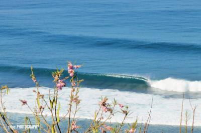 Imagen: Sitoc Foto | Surf AHIERRO!