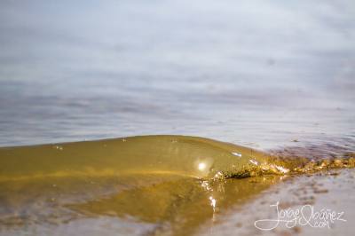 Imagen: Jorge Ibañez | Surf AHIERRO!