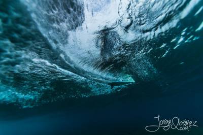 Imagen: Jorge Ibañez | Surf AHIERRO!