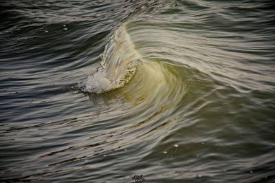 Imagen: Elias Photography | Surf AHIERRO!