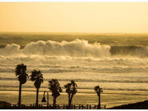  Samuel Cárdenas - Surf AHIERRO!