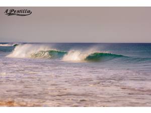 Imagen: Fuerteventura | Surf AHIERRO!