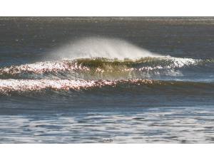 Imagen: Otoño invierno en Valencia | Surf AHIERRO!