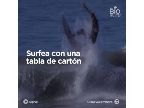  Surfea con una tabla de cartón - Surf AHIERRO!