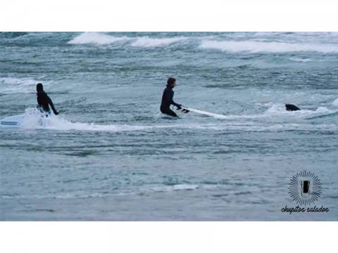  Focas VS Surfers - Surf AHIERRO!